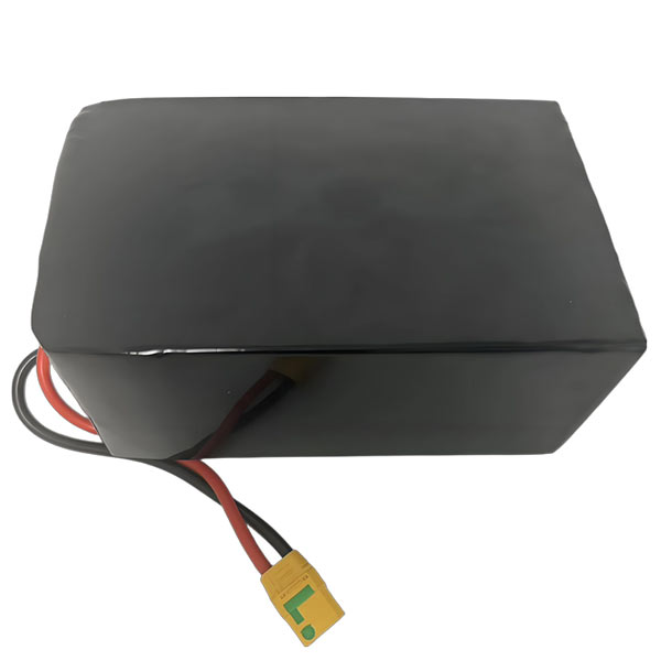14S 60.9V High Voltage Custom BMS Battery